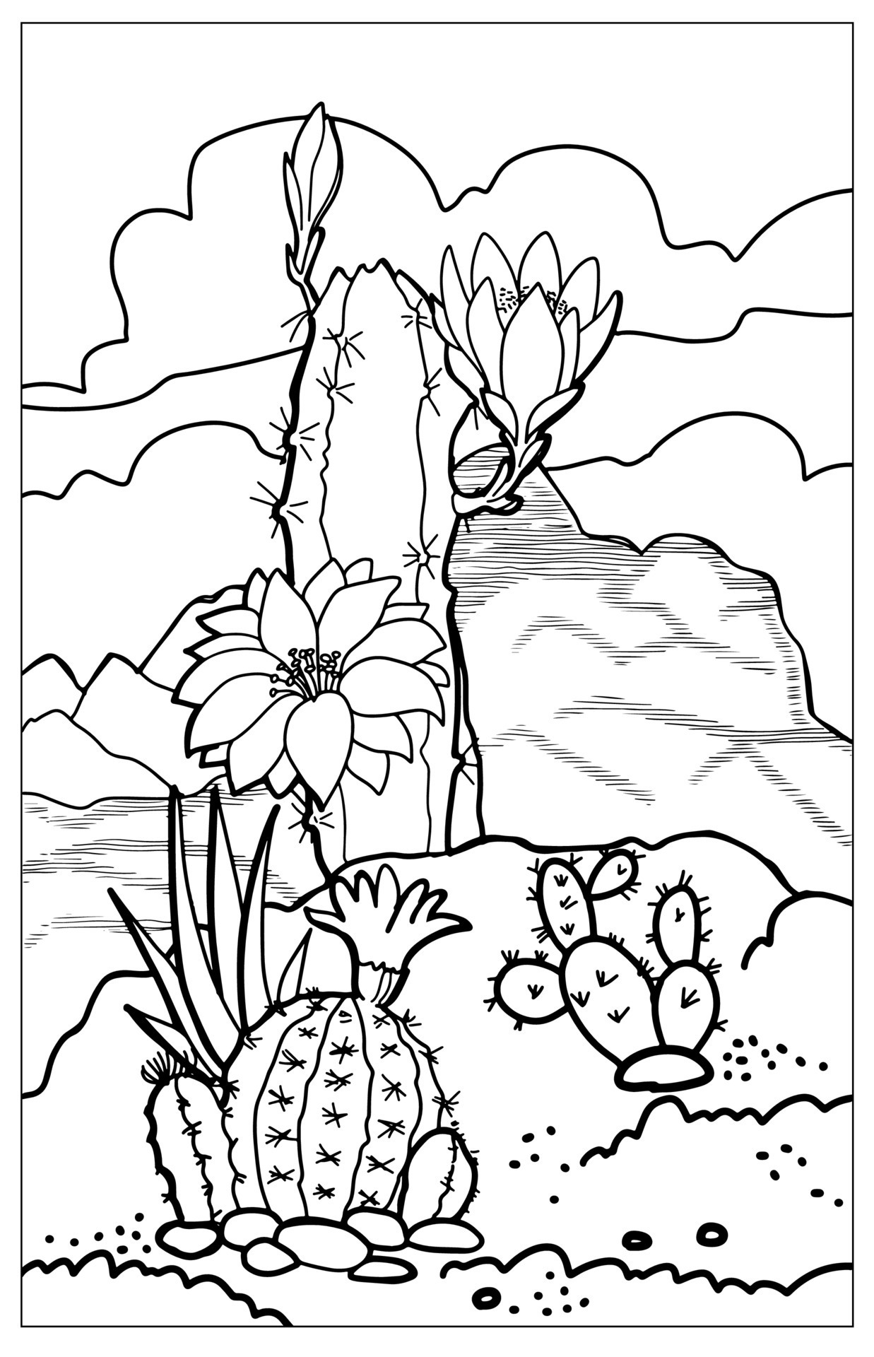 175+ Desert Landscape Coloring Pages Printable 109