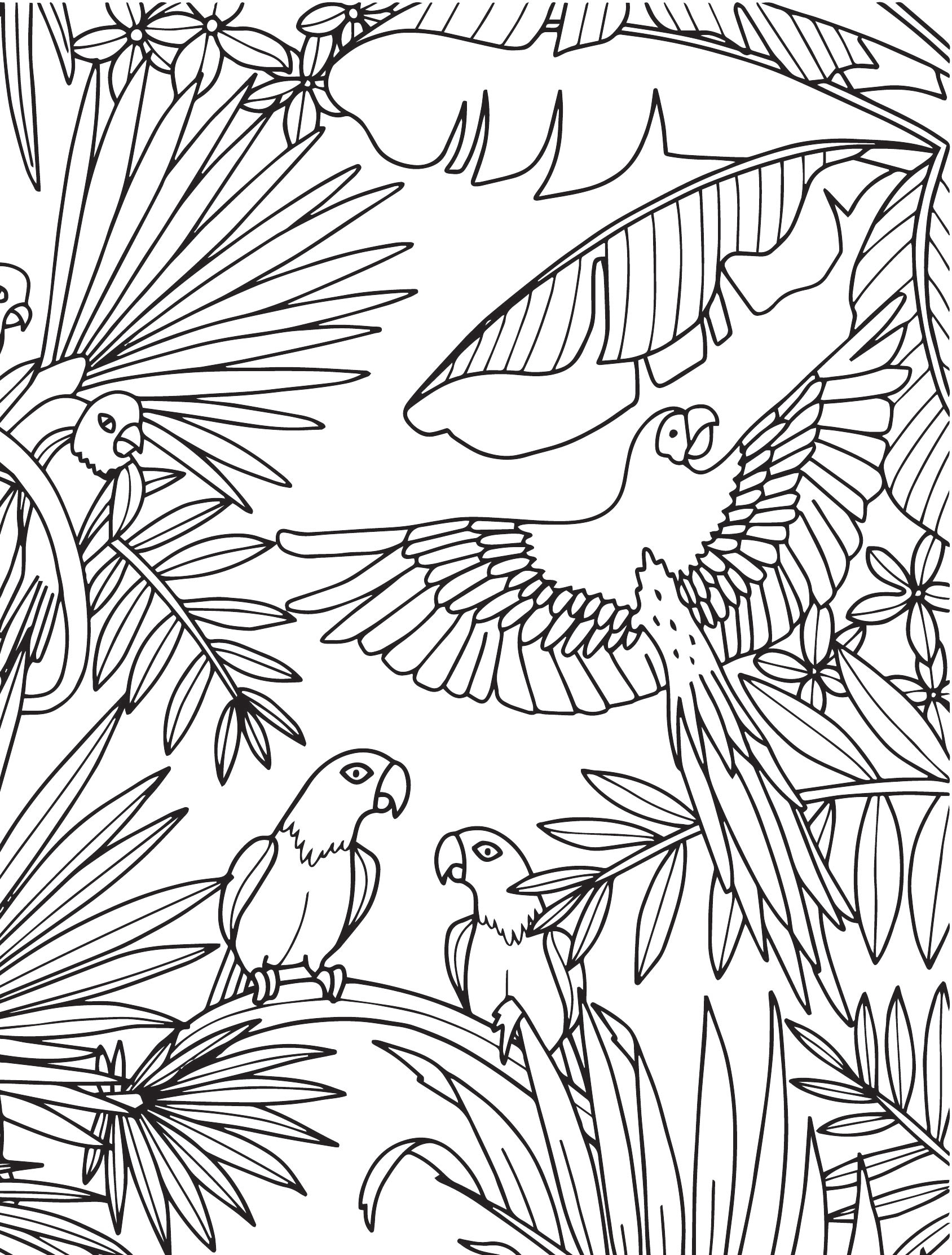 175+ Desert Landscape Coloring Pages Printable 150