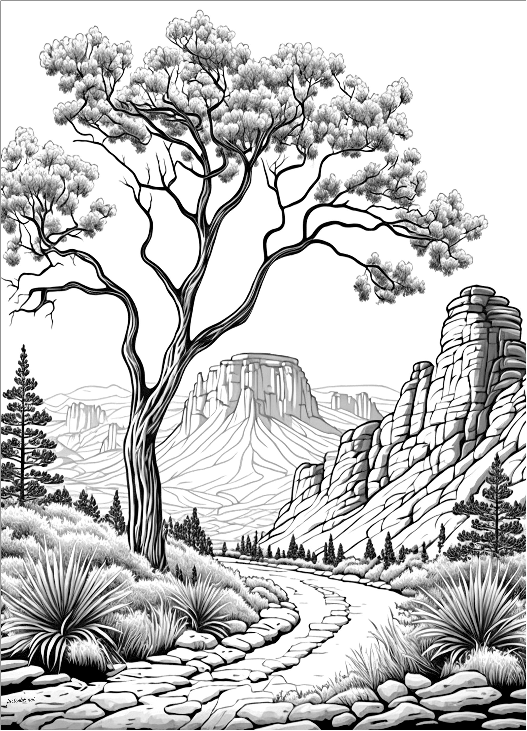 175+ Desert Landscape Coloring Pages Printable 157