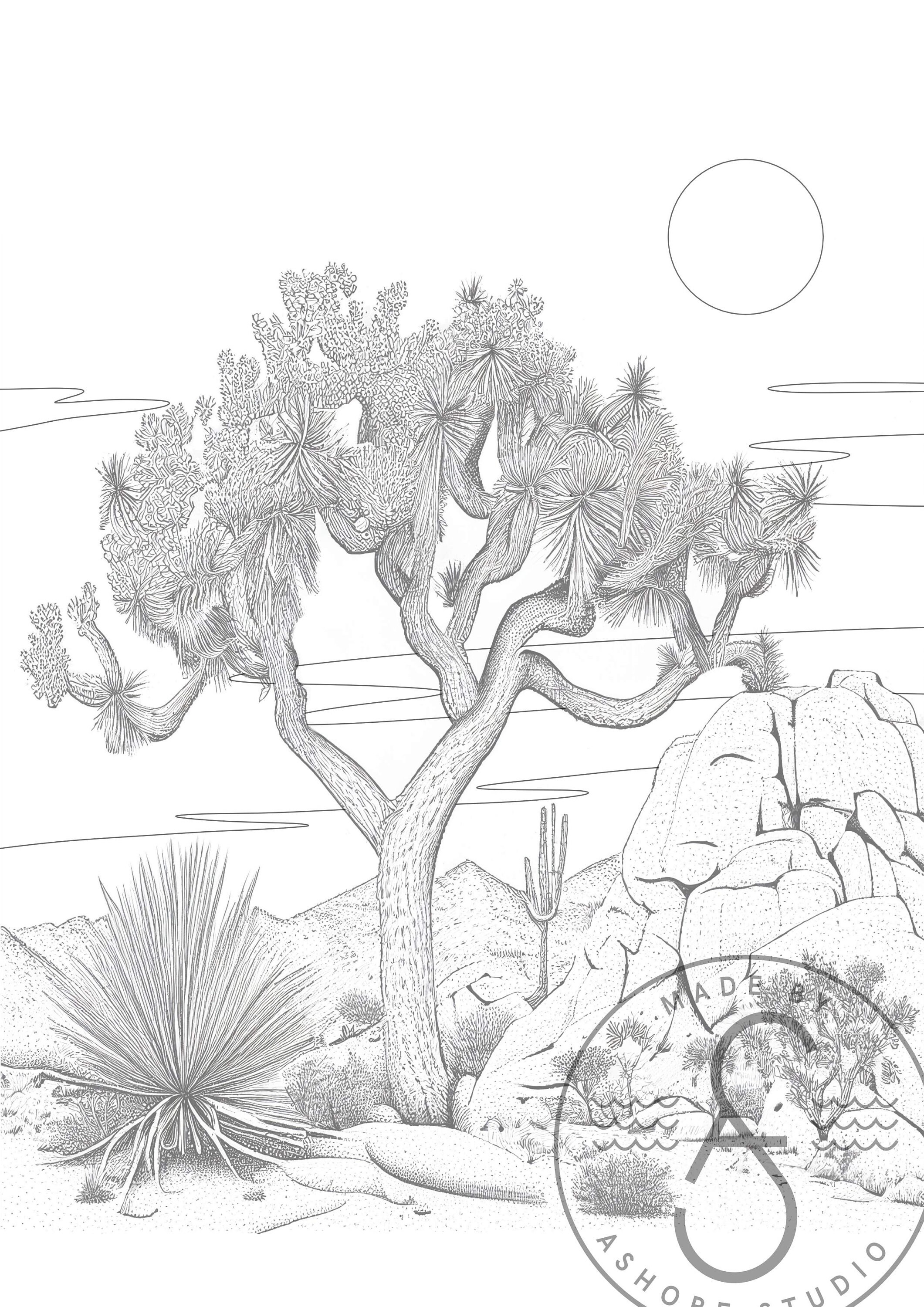 175+ Desert Landscape Coloring Pages Printable 163