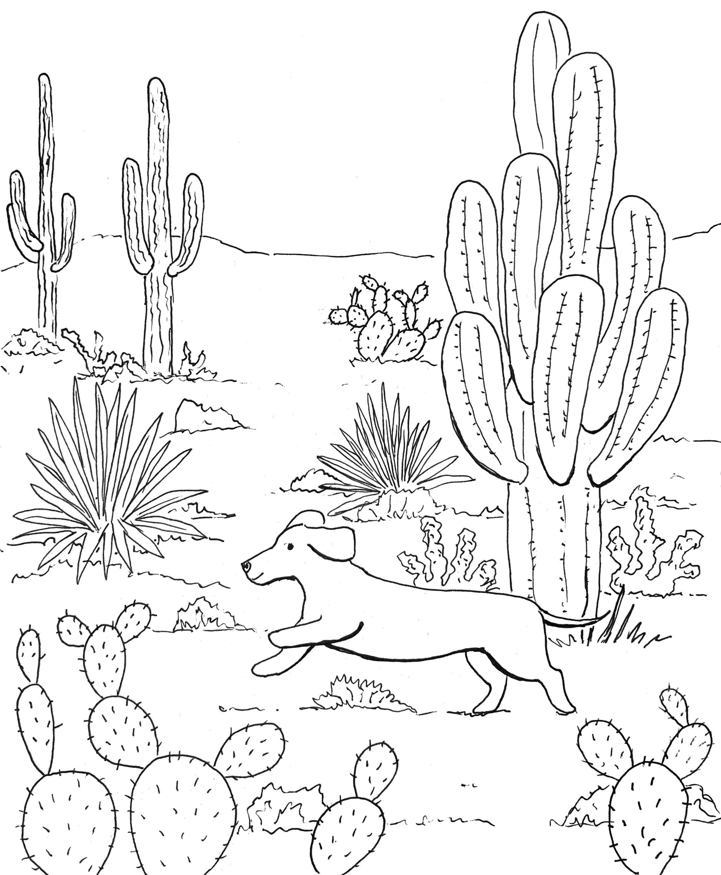 175+ Desert Landscape Coloring Pages Printable 170