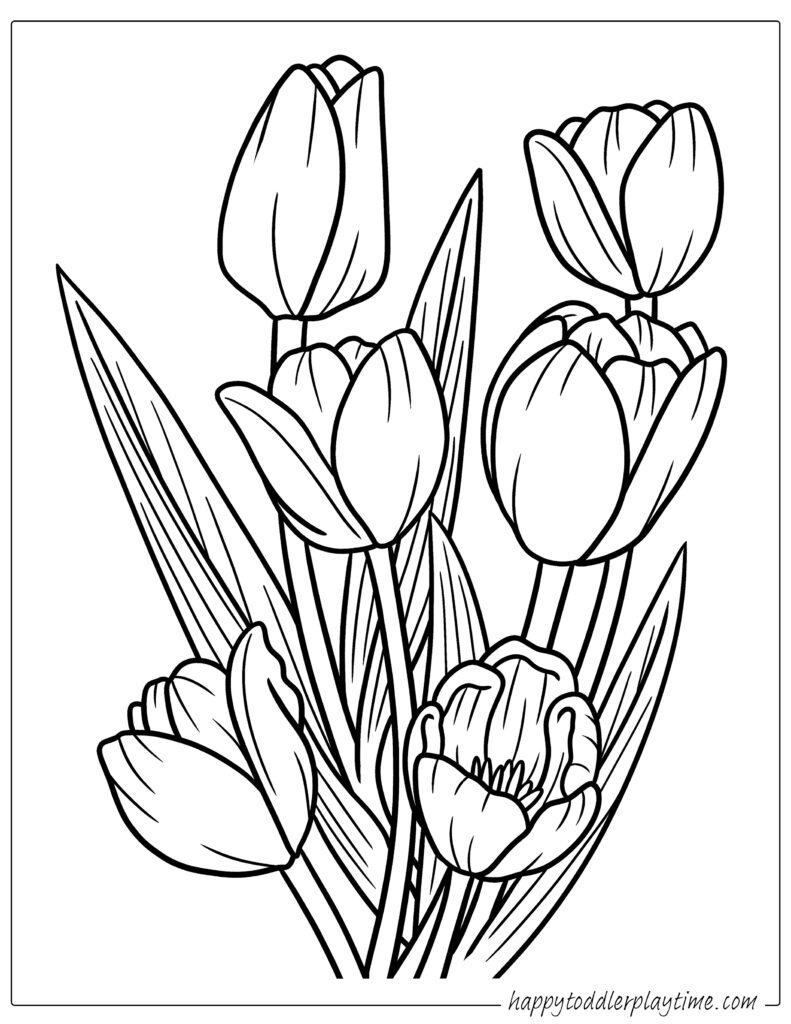 175+ Desert Landscape Coloring Pages Printable 24