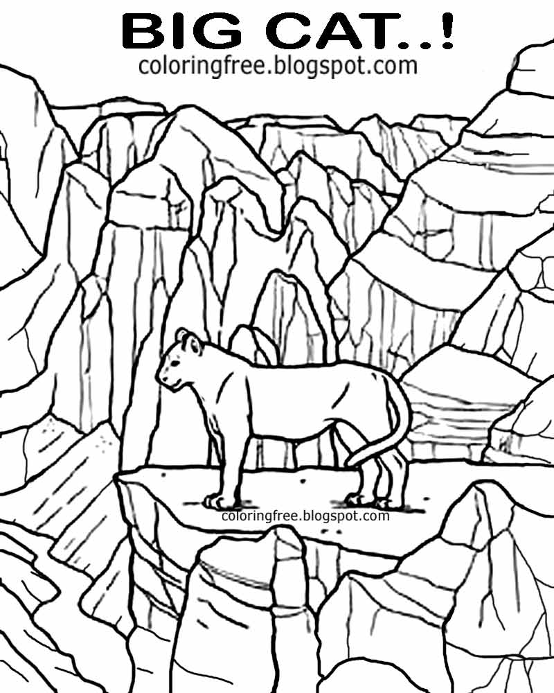 175+ Desert Landscape Coloring Pages Printable 4