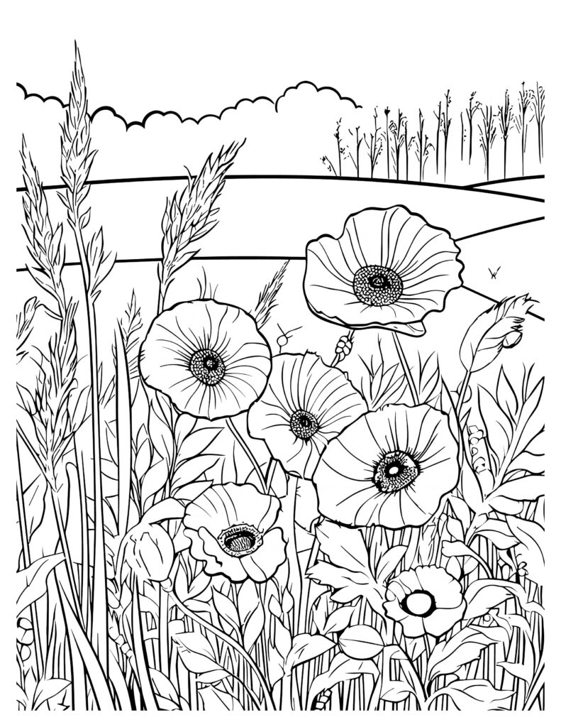 175+ Desert Landscape Coloring Pages Printable 42