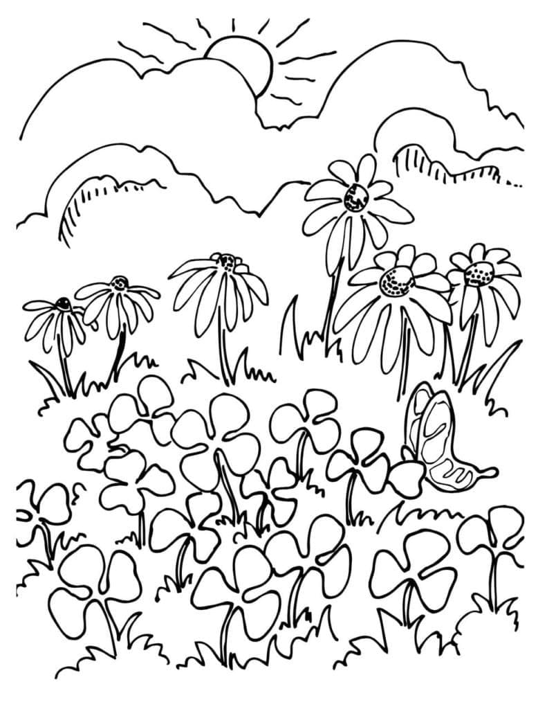 175+ Desert Landscape Coloring Pages Printable 58