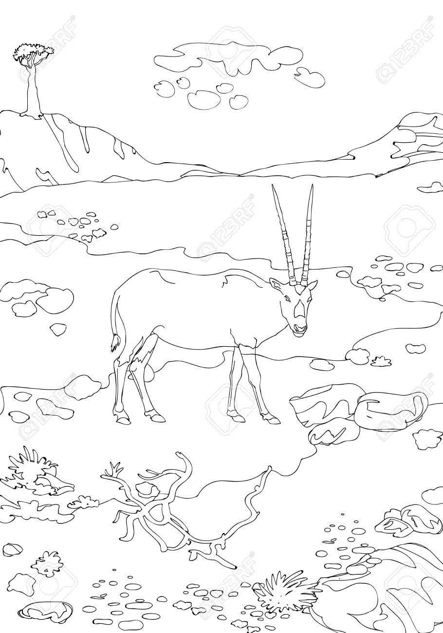 175+ Desert Landscape Coloring Pages Printable 77