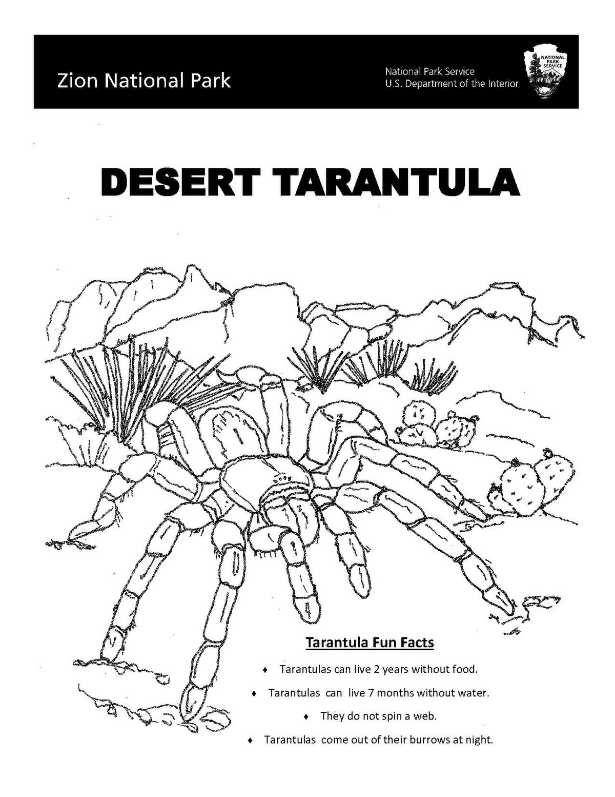 175+ Desert Landscape Coloring Pages Printable 88