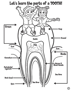 180++ Dental Health Teeth Coloring Pages Printable 75