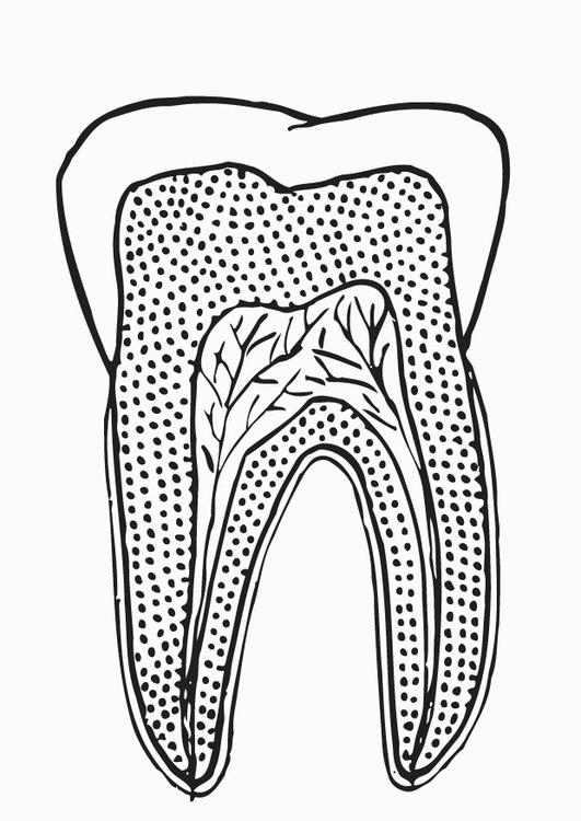 180++ Dental Health Teeth Coloring Pages Printable 93