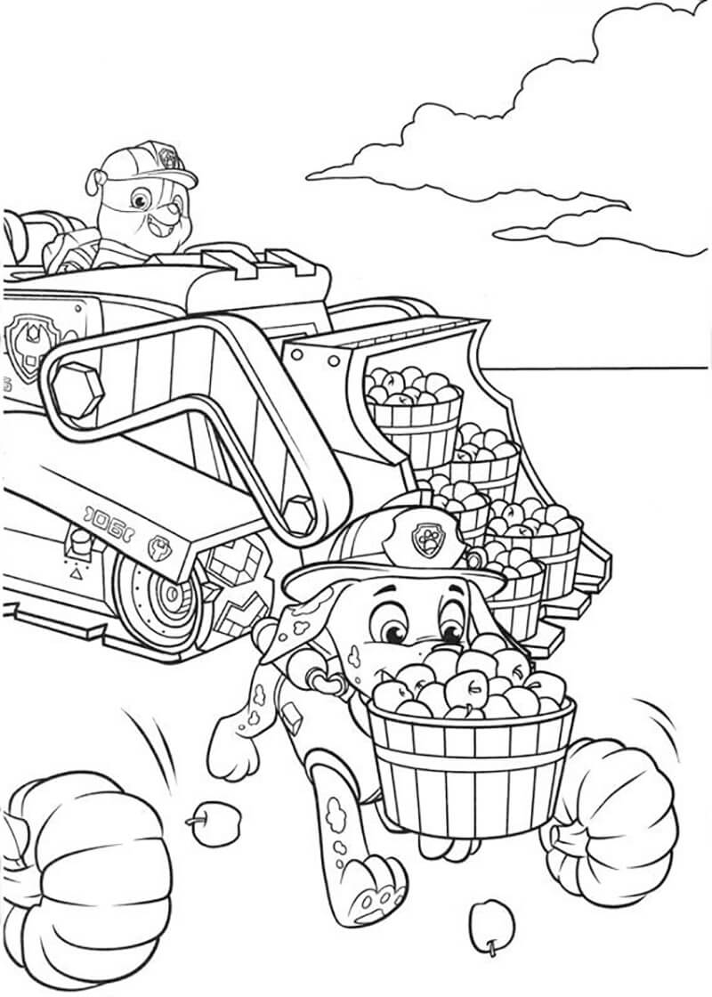 188+ Mighty Paw Patrol Coloring Pages Printable 140