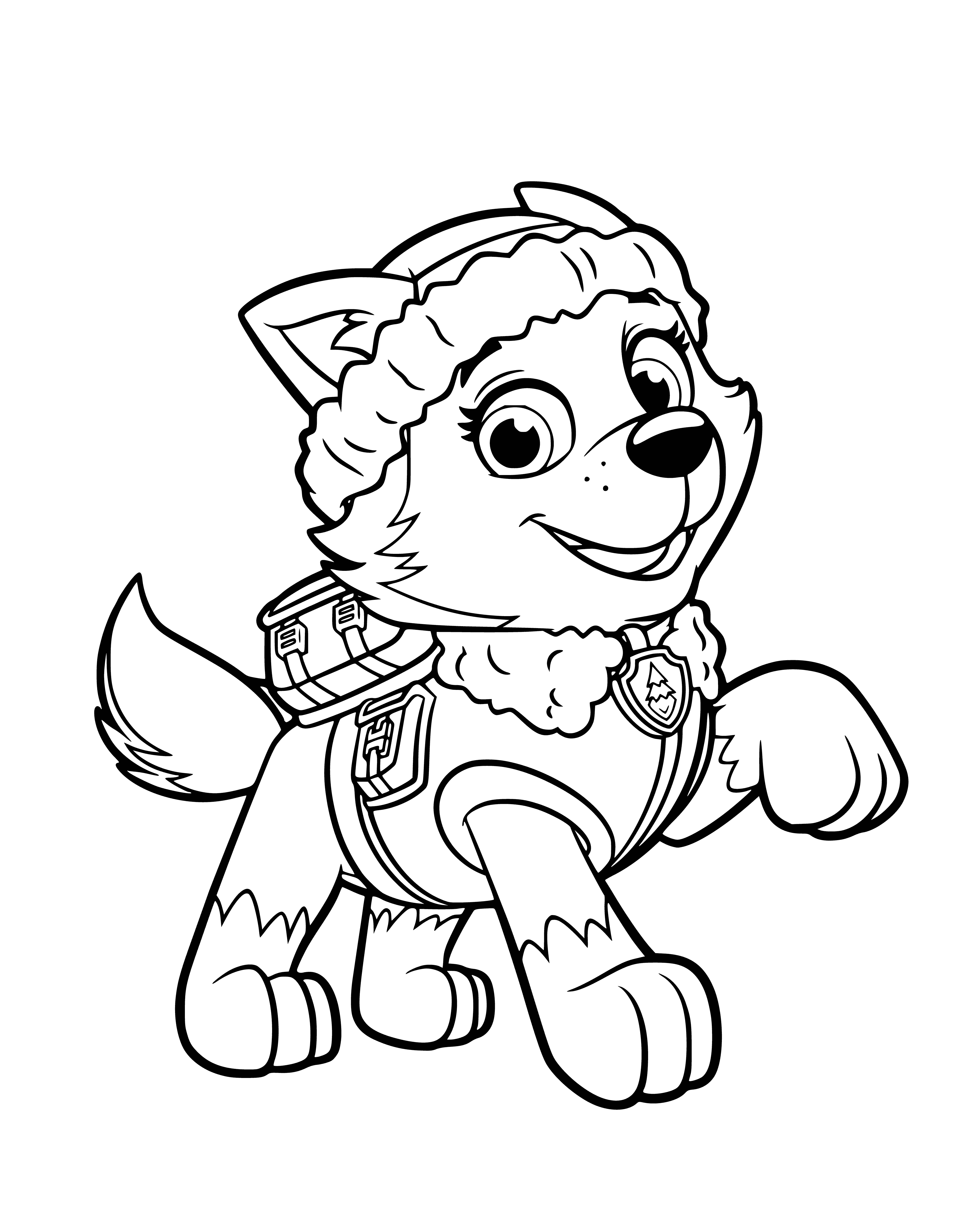 188+ Mighty Paw Patrol Coloring Pages Printable 50