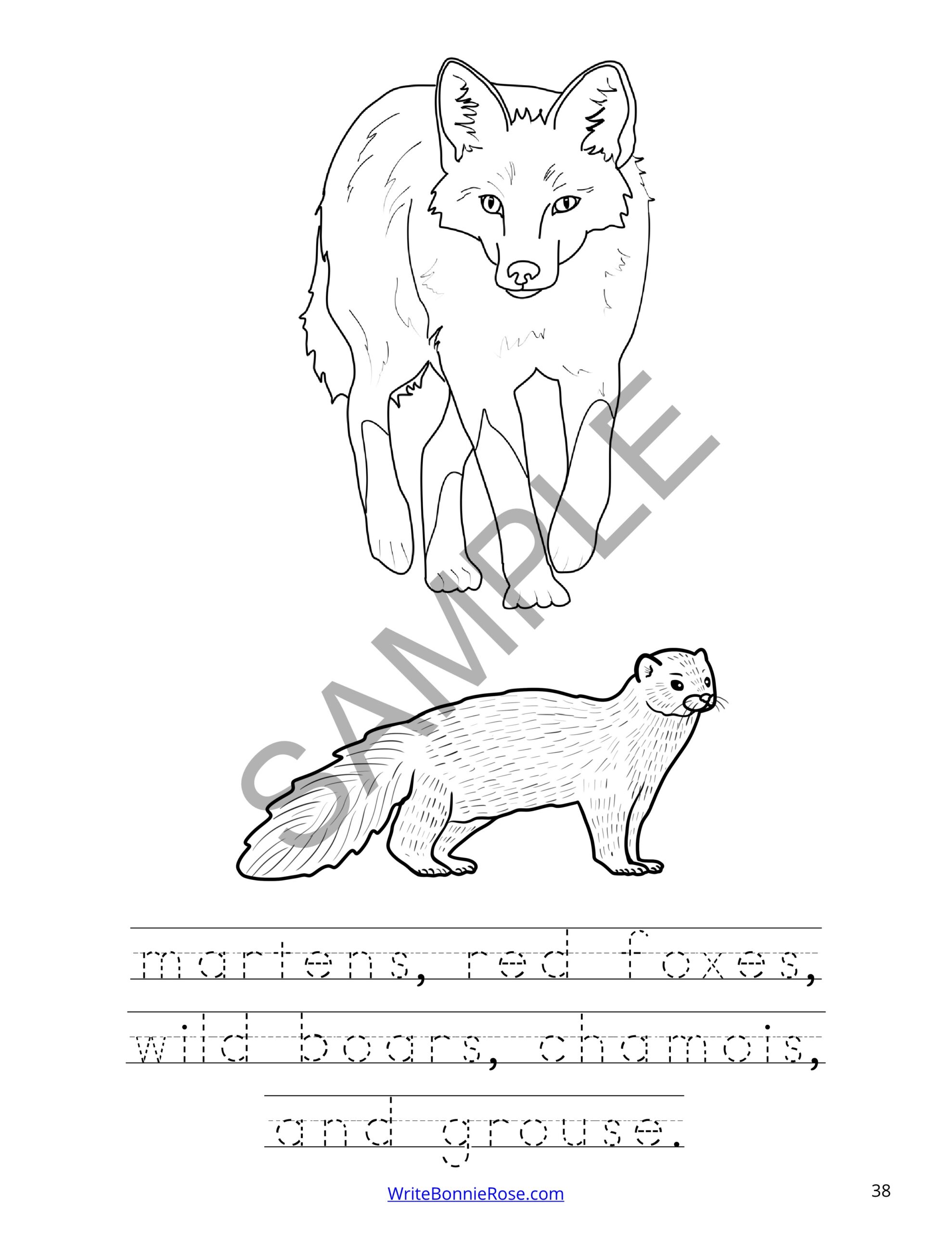 190+ Fox Coloring Pages Printable 112