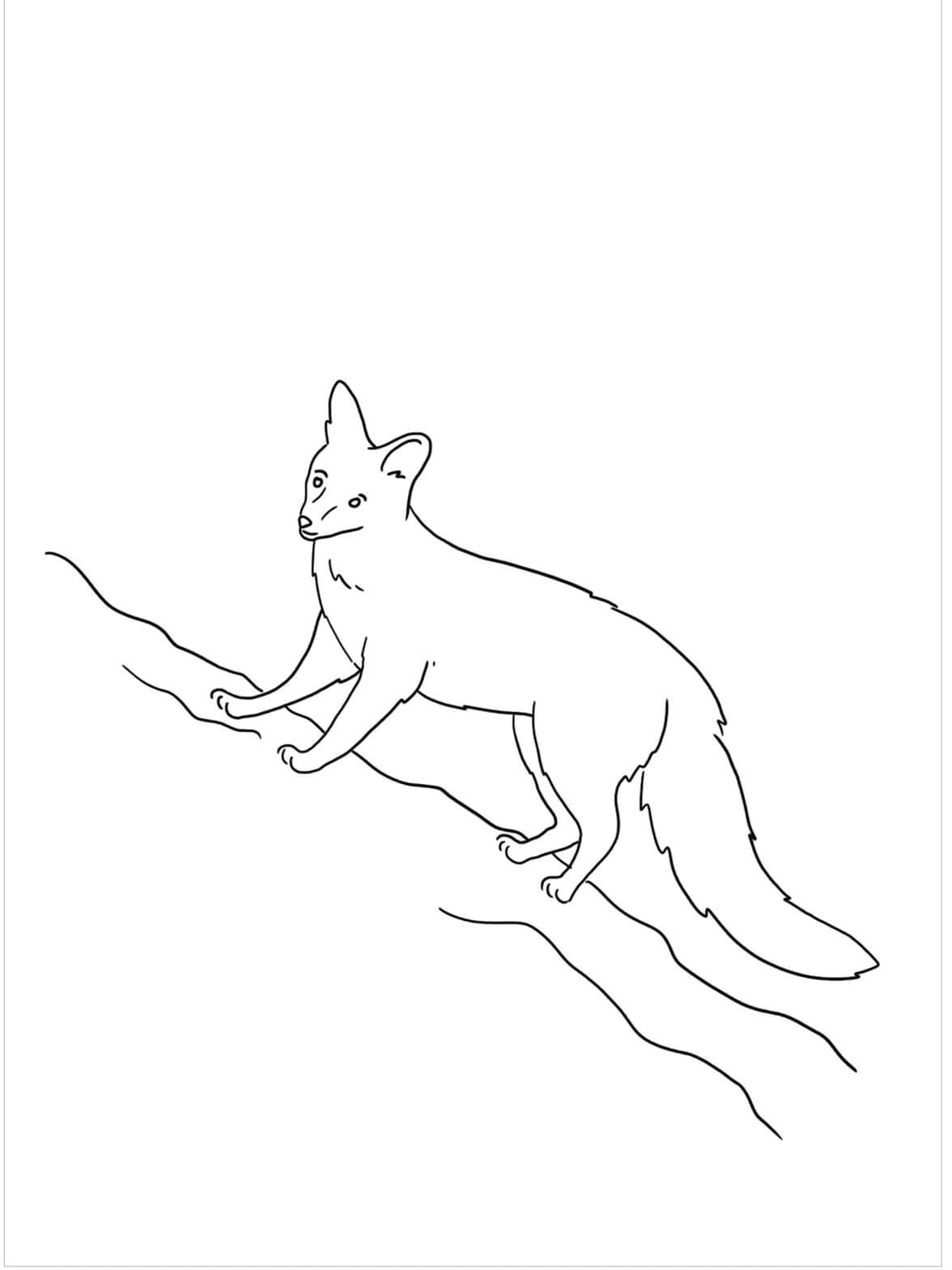 190+ Fox Coloring Pages Printable 169