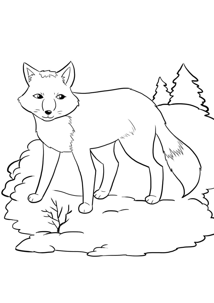 190+ Fox Coloring Pages Printable 182