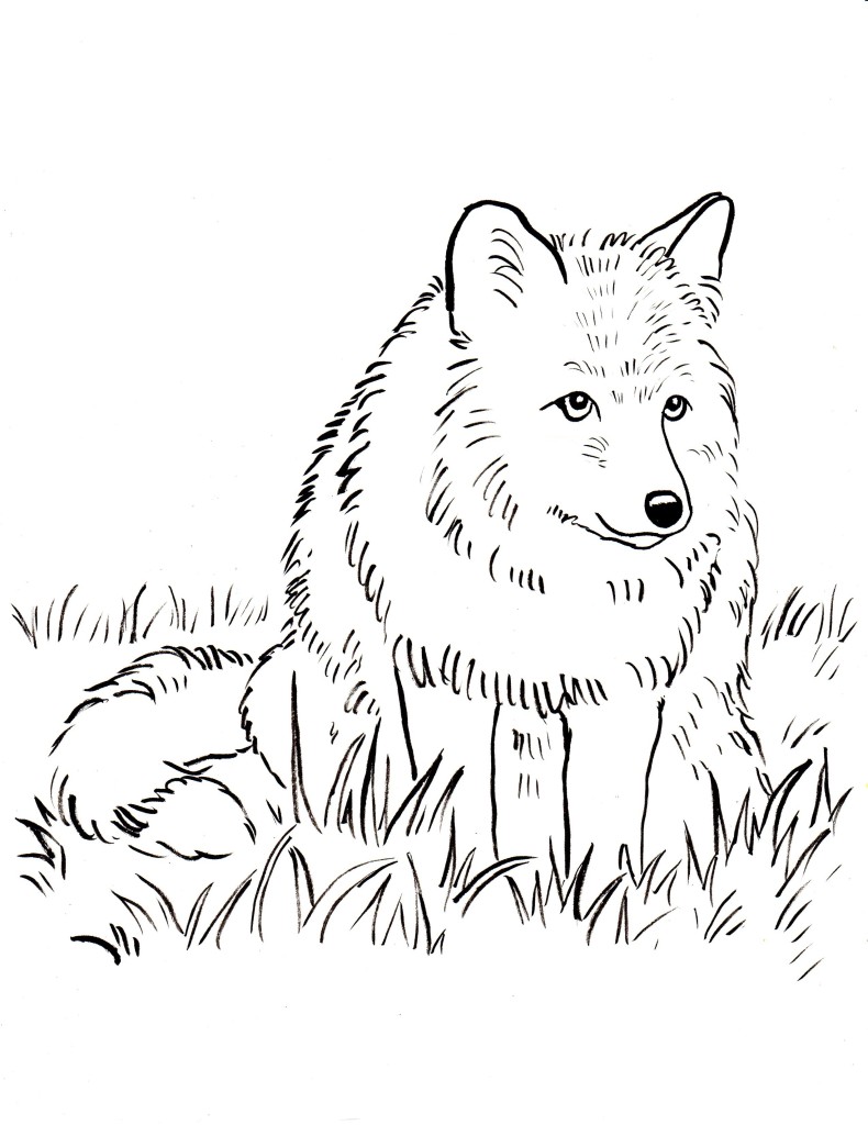 190+ Fox Coloring Pages Printable 36