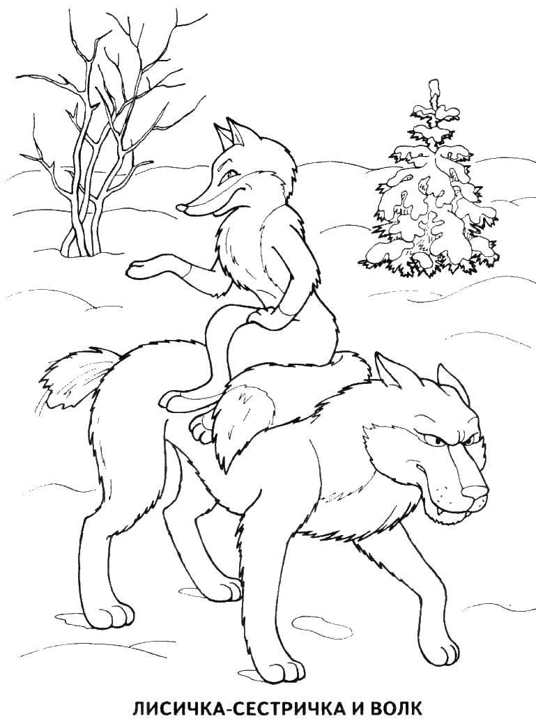 190+ Fox Coloring Pages Printable 49