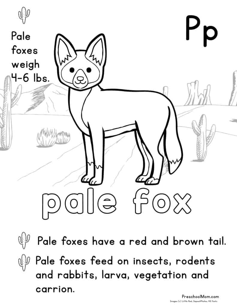 190+ Fox Coloring Pages Printable 51