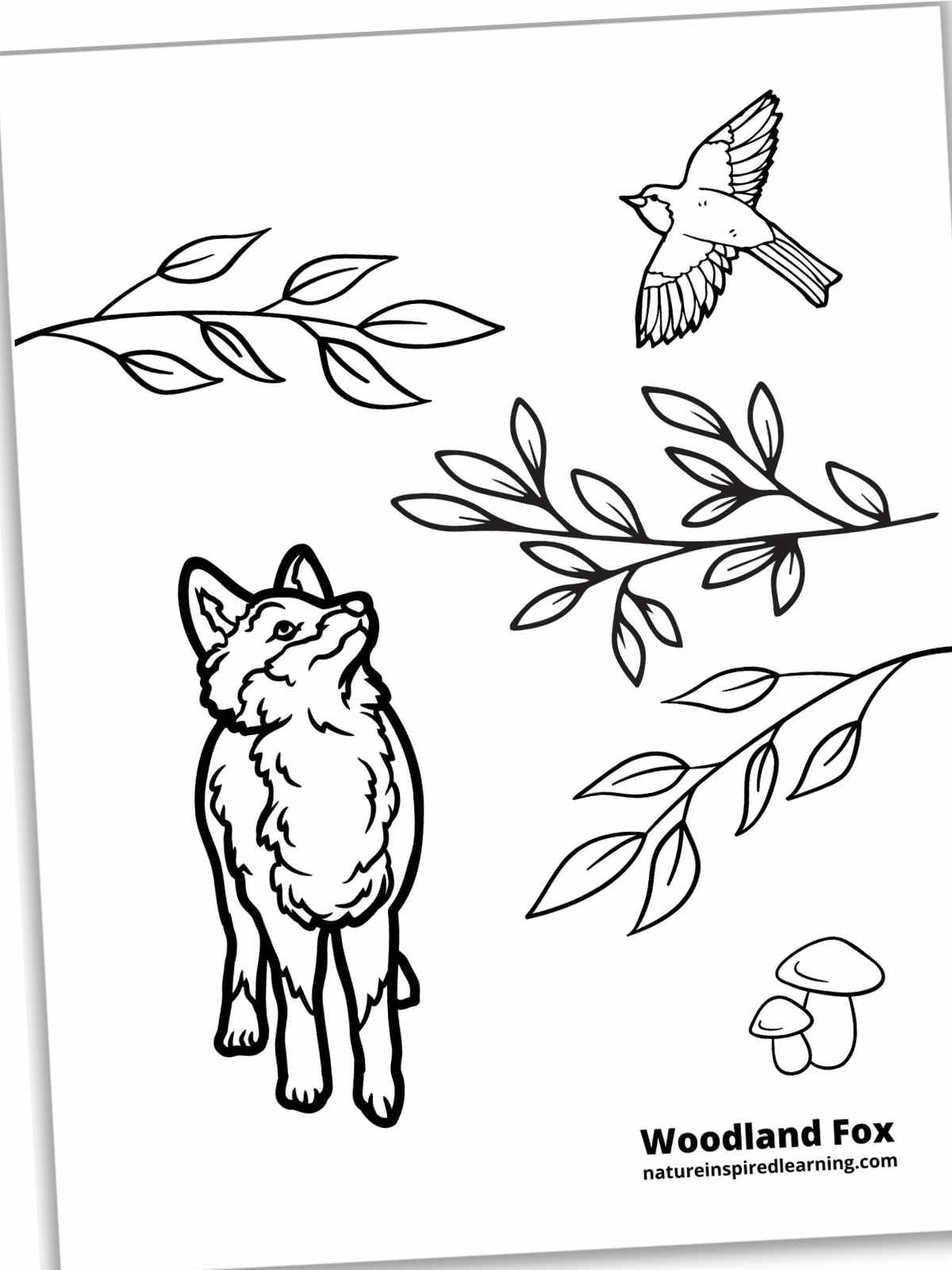 190+ Fox Coloring Pages Printable 67