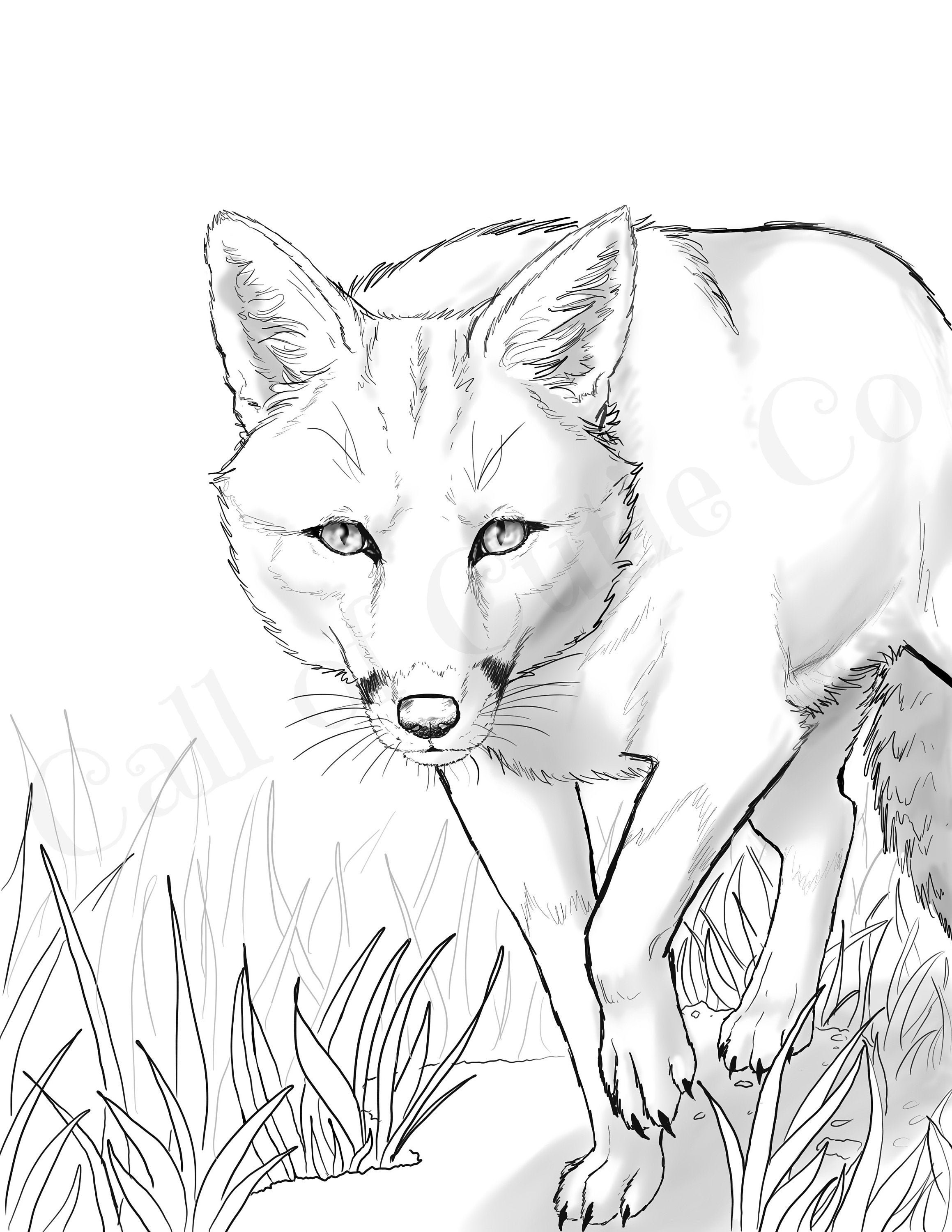 190+ Fox Coloring Pages Printable 8