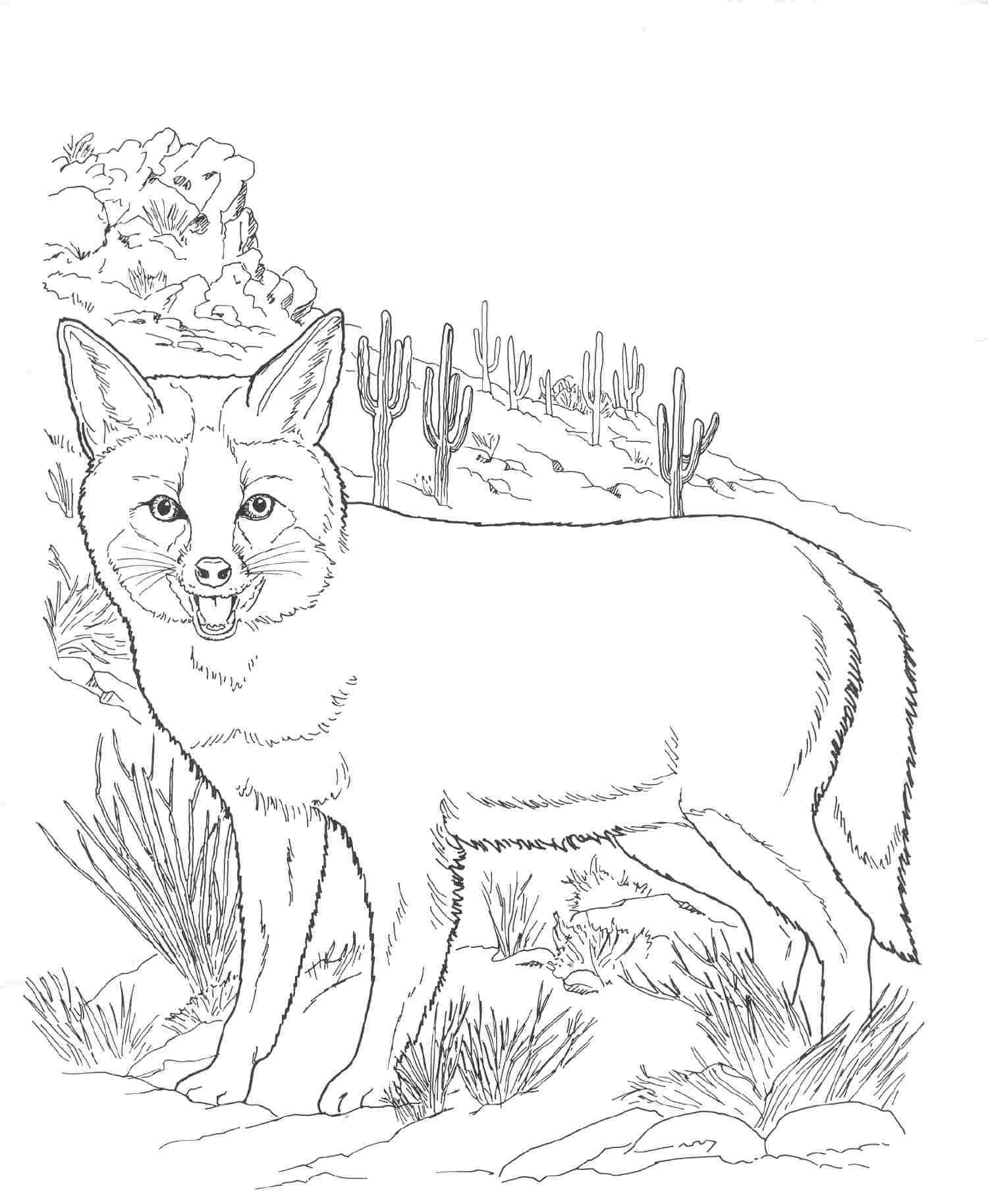 190+ Fox Coloring Pages Printable 80