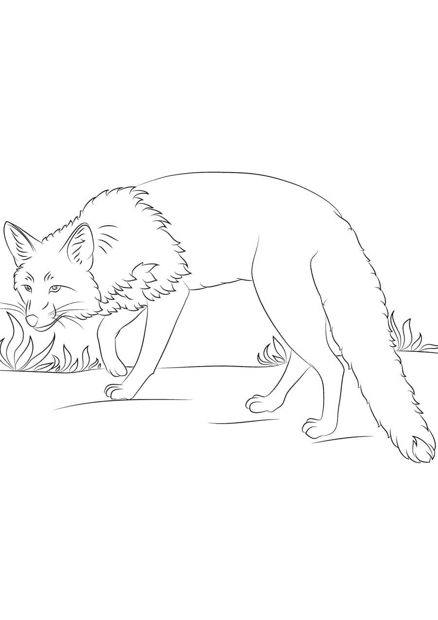 190+ Fox Coloring Pages Printable 86