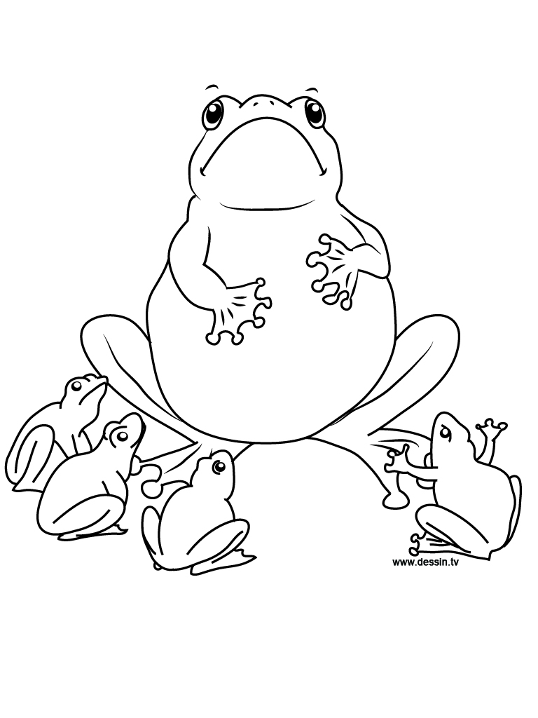 190+ Frog Coloring Page Designs 1