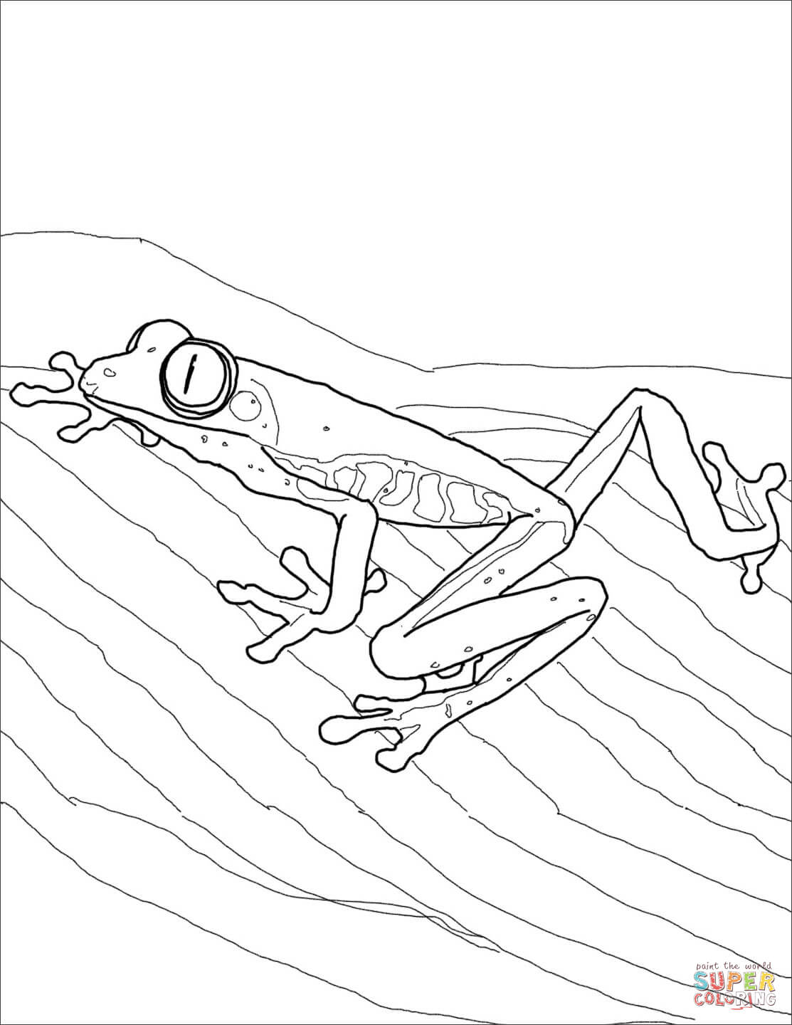 190+ Frog Coloring Page Designs 100