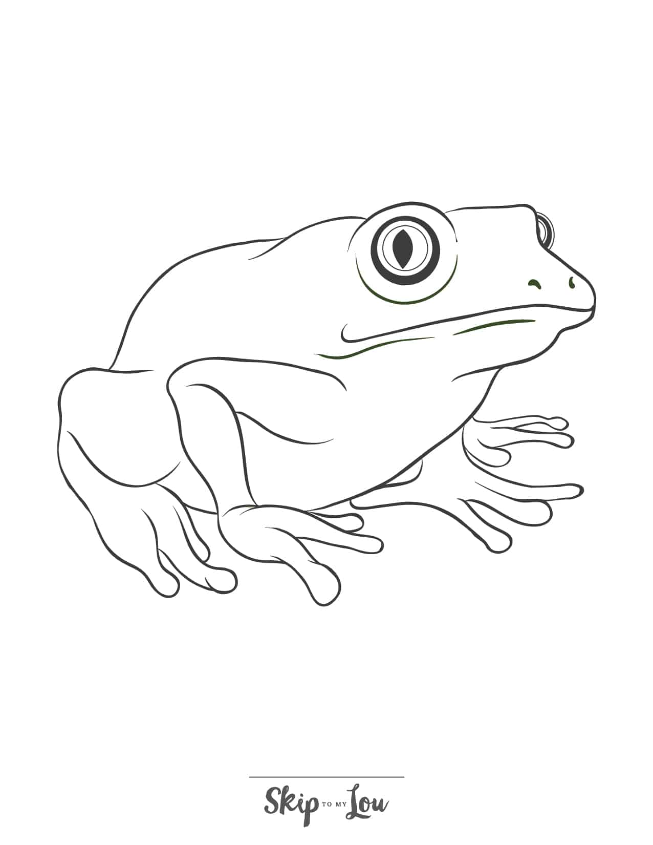 190+ Frog Coloring Page Designs 105