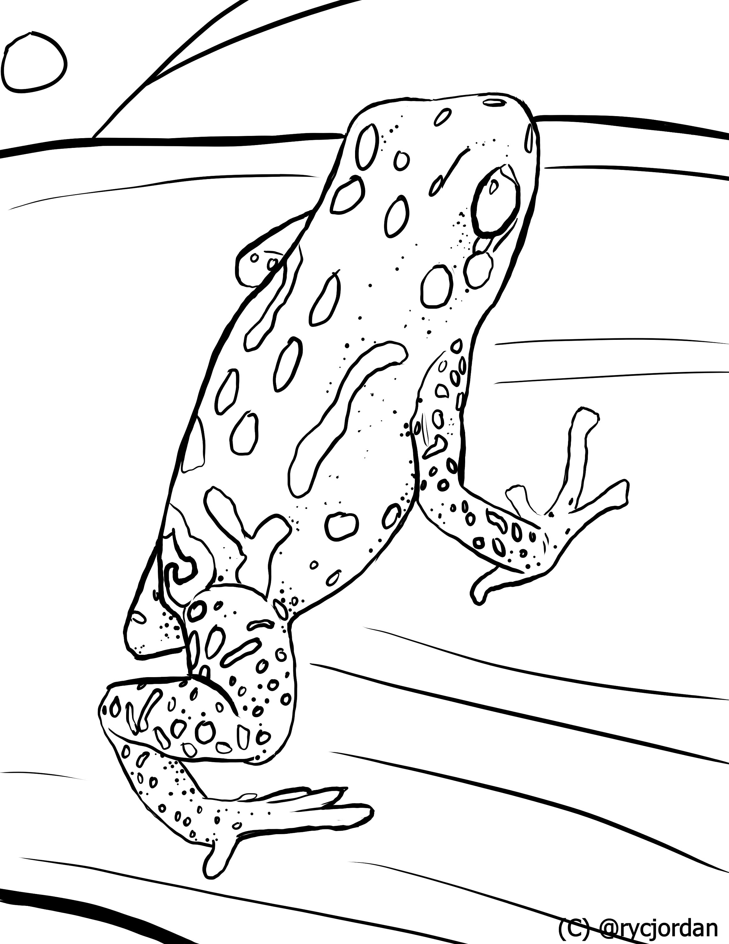 190+ Frog Coloring Page Designs 113