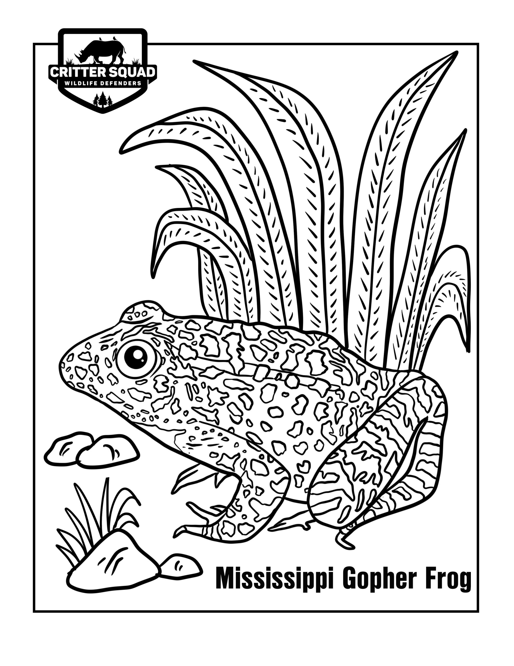 190+ Frog Coloring Page Designs 114