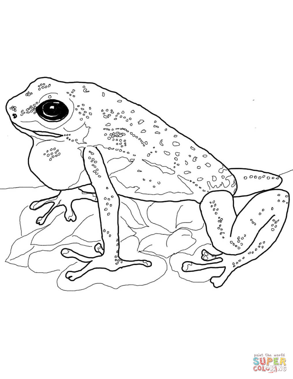 190+ Frog Coloring Page Designs 115