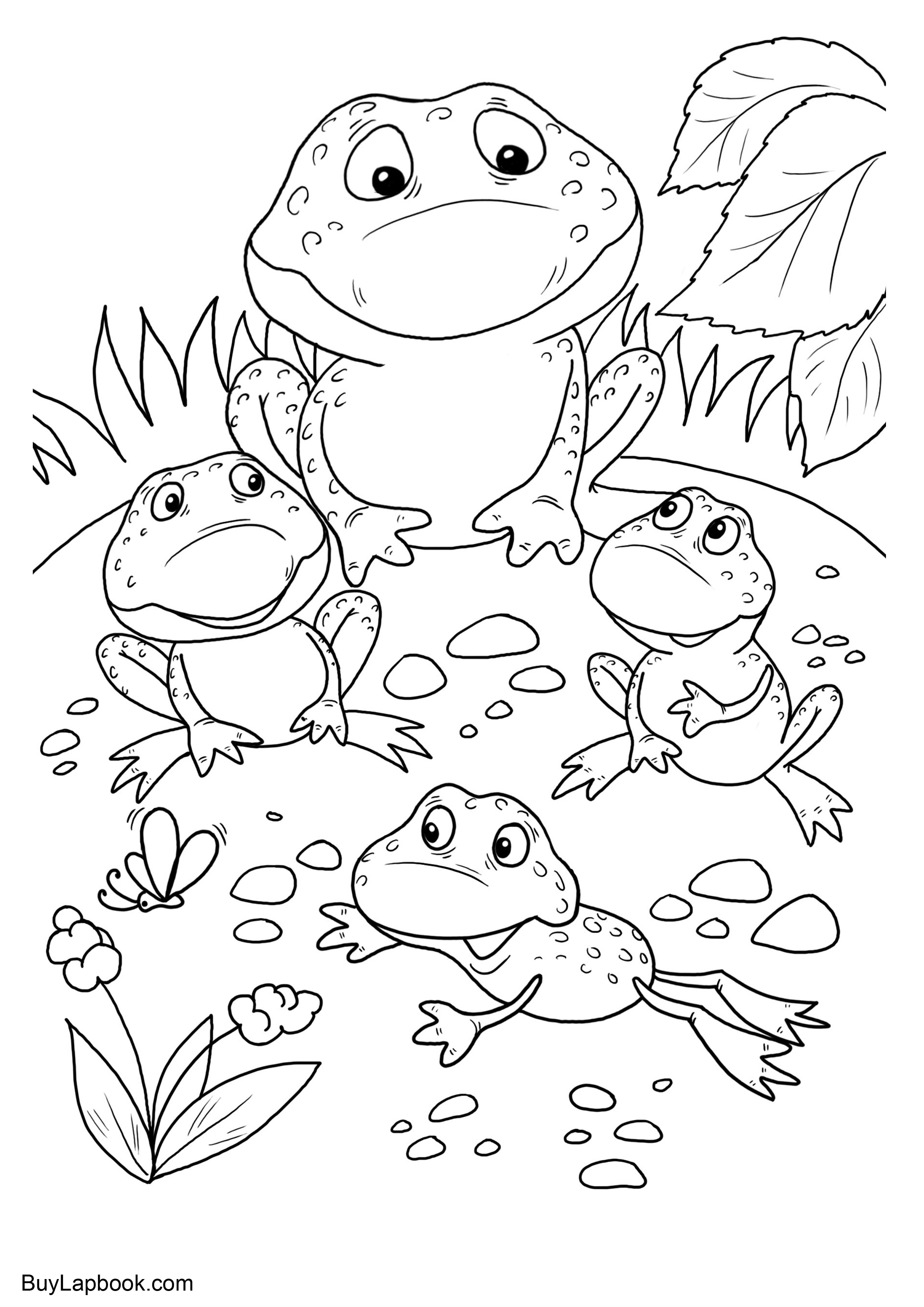 190+ Frog Coloring Page Designs 13