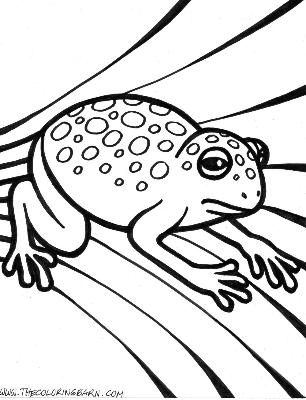 190+ Frog Coloring Page Designs 130