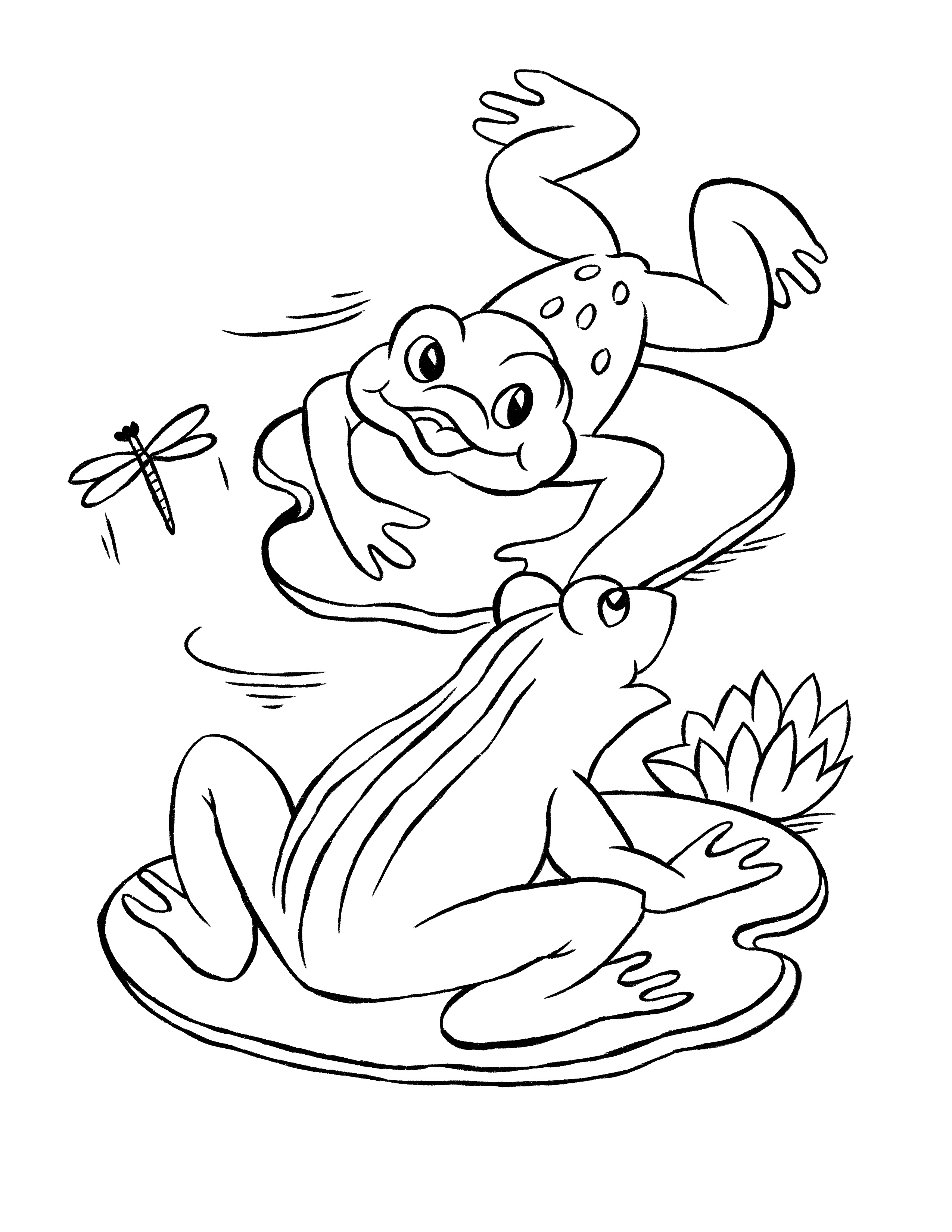 190+ Frog Coloring Page Designs 16