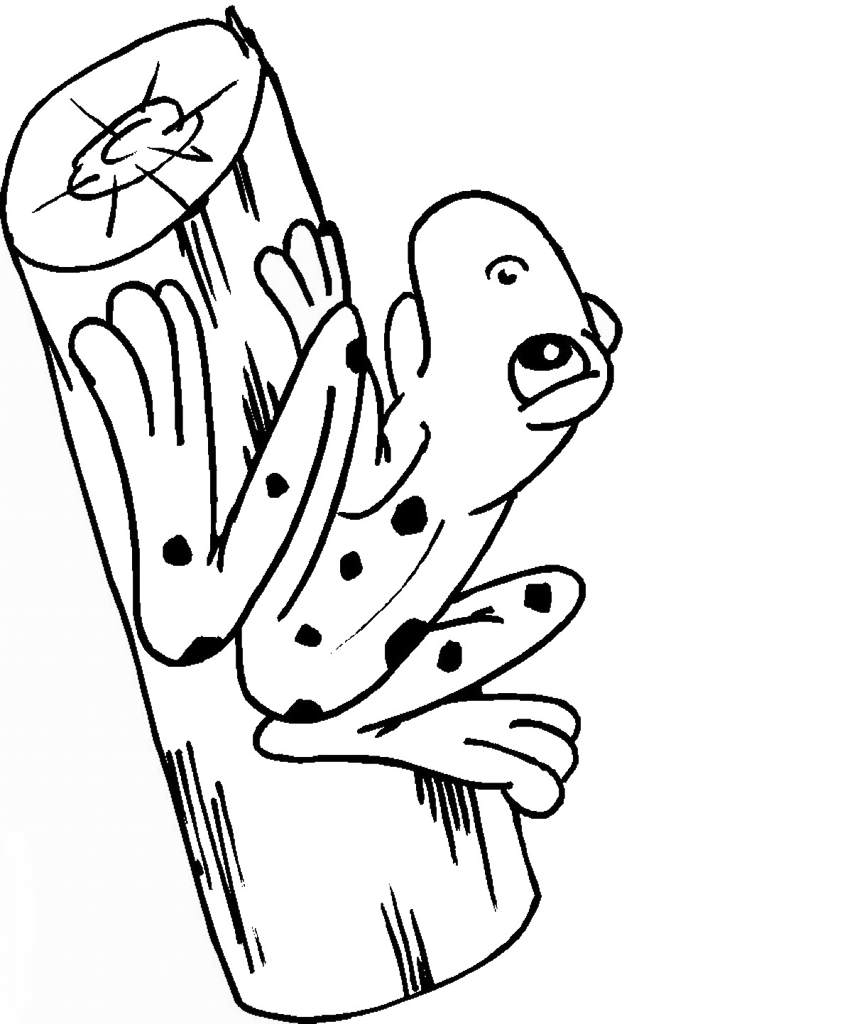 190+ Frog Coloring Page Designs 168