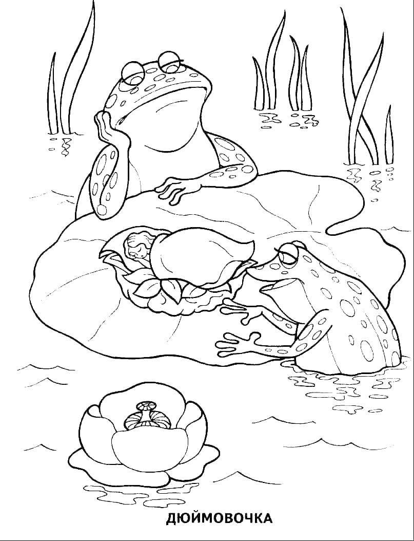 190+ Frog Coloring Page Designs 179