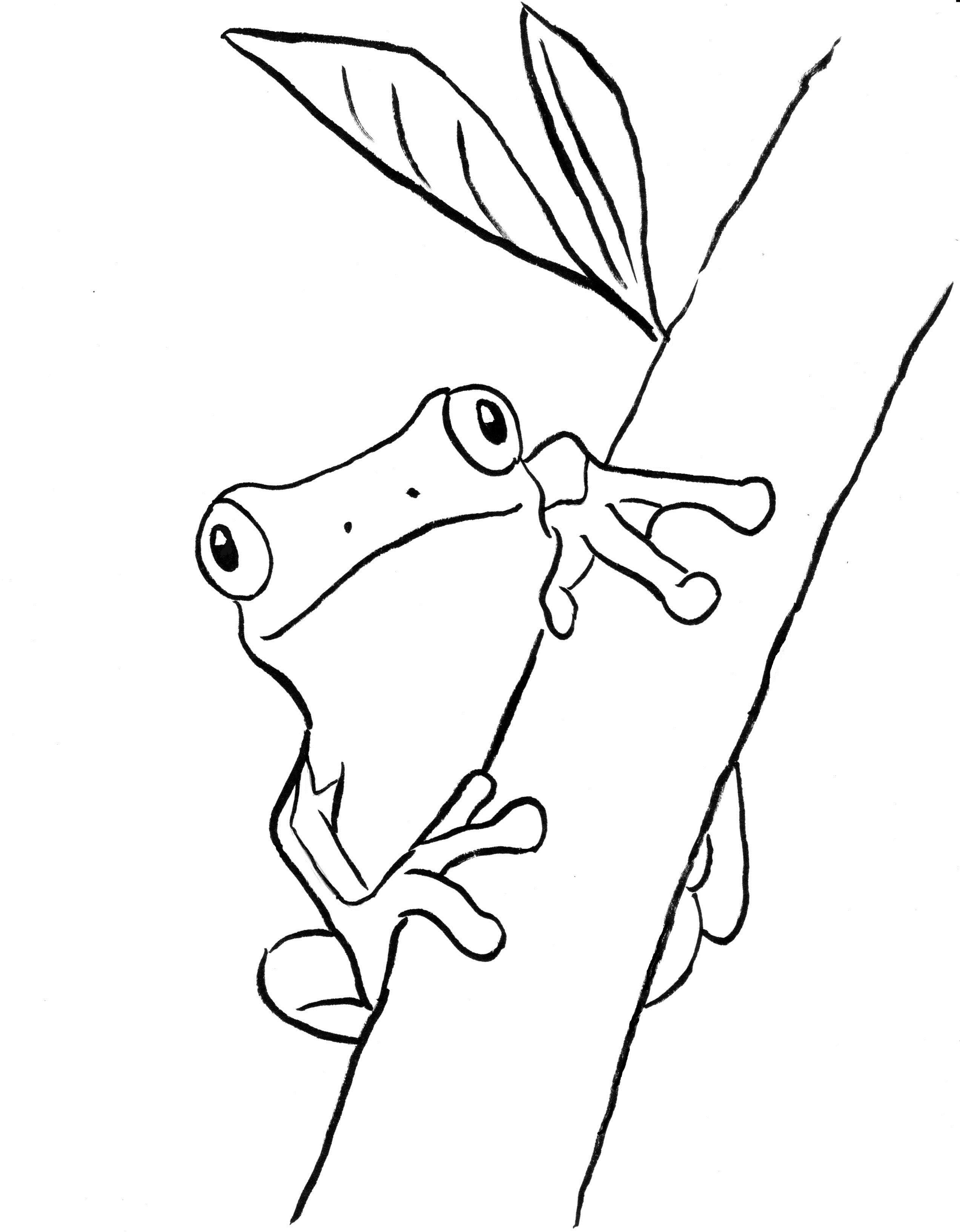 190+ Frog Coloring Page Designs 18