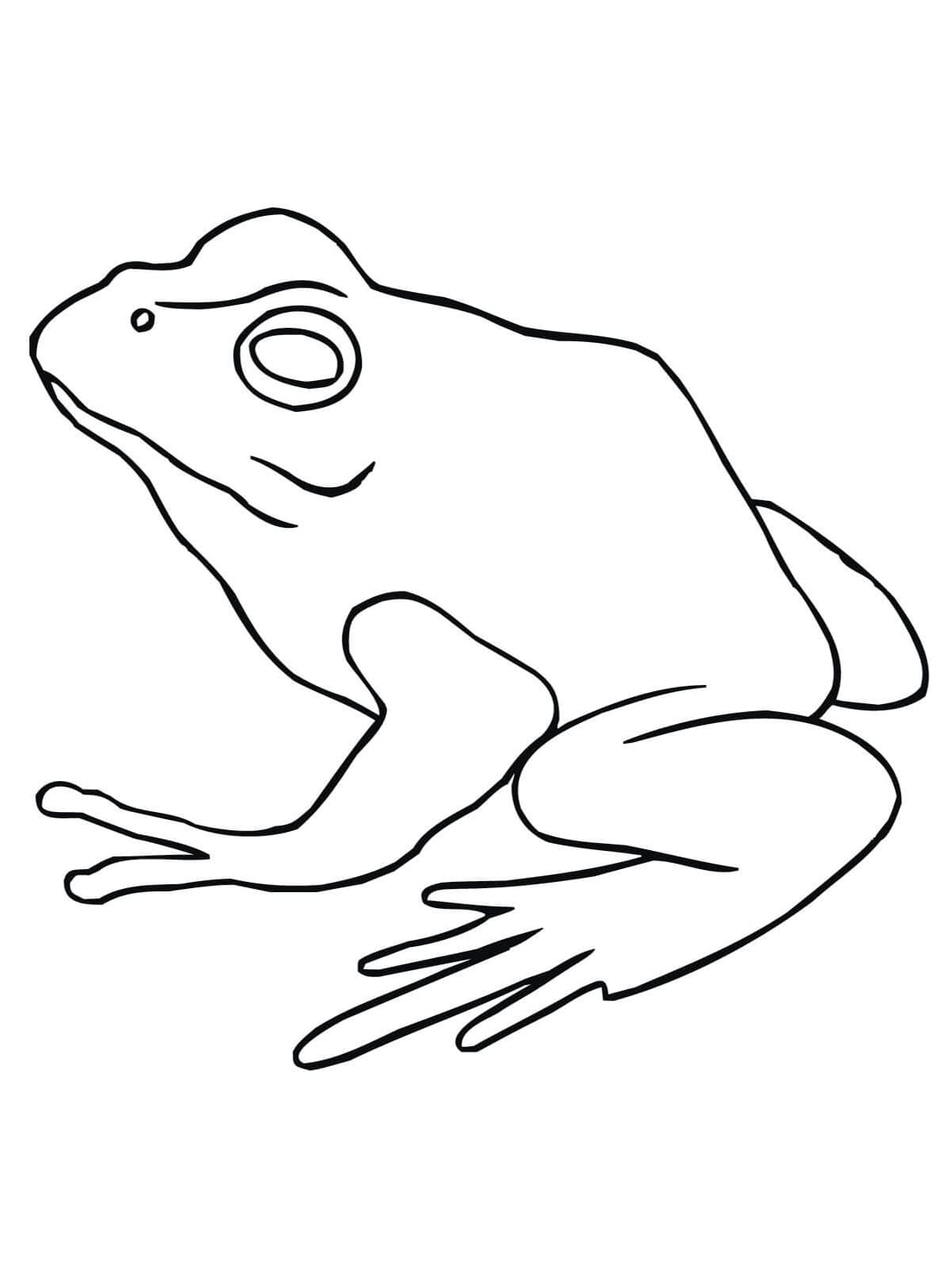 190+ Frog Coloring Page Designs 41