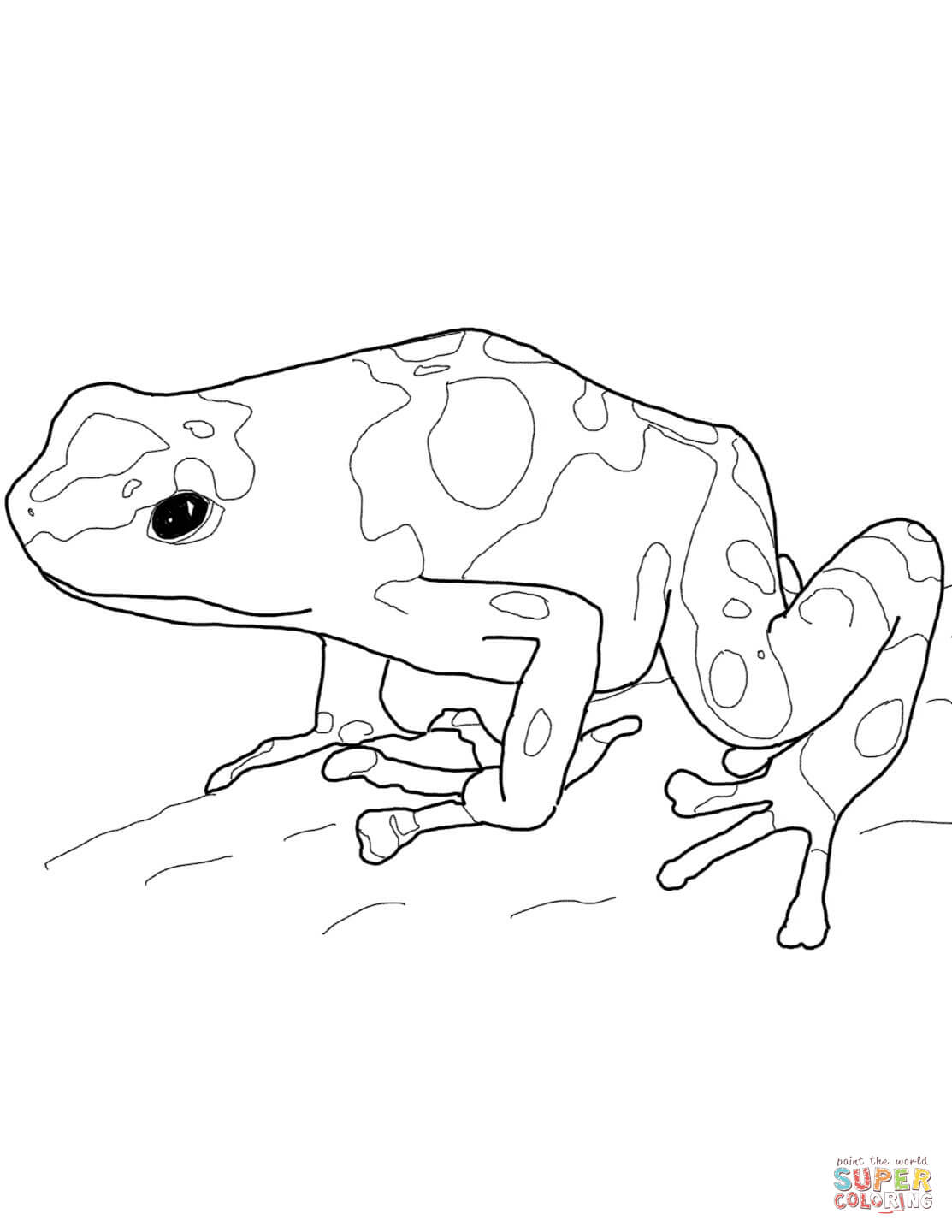 190+ Frog Coloring Page Designs 48