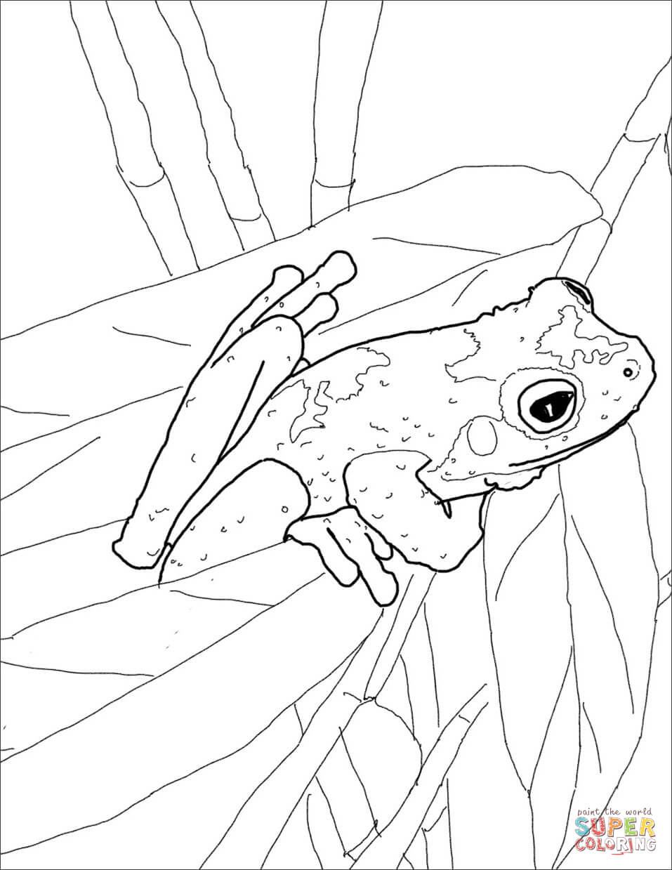 190+ Frog Coloring Page Designs 54