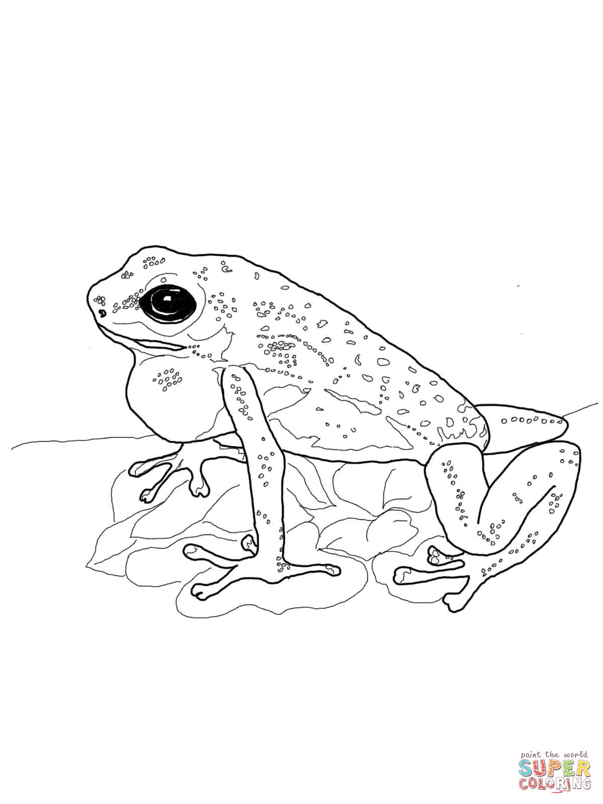 190+ Frog Coloring Page Designs 58