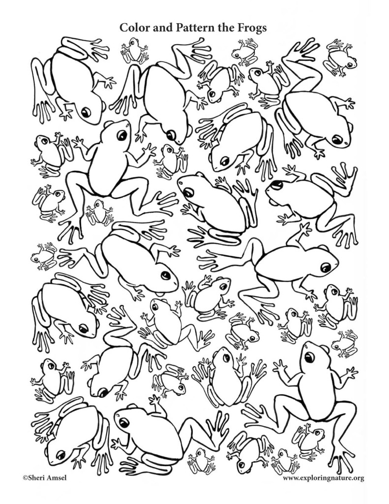 190+ Frog Coloring Page Designs 60