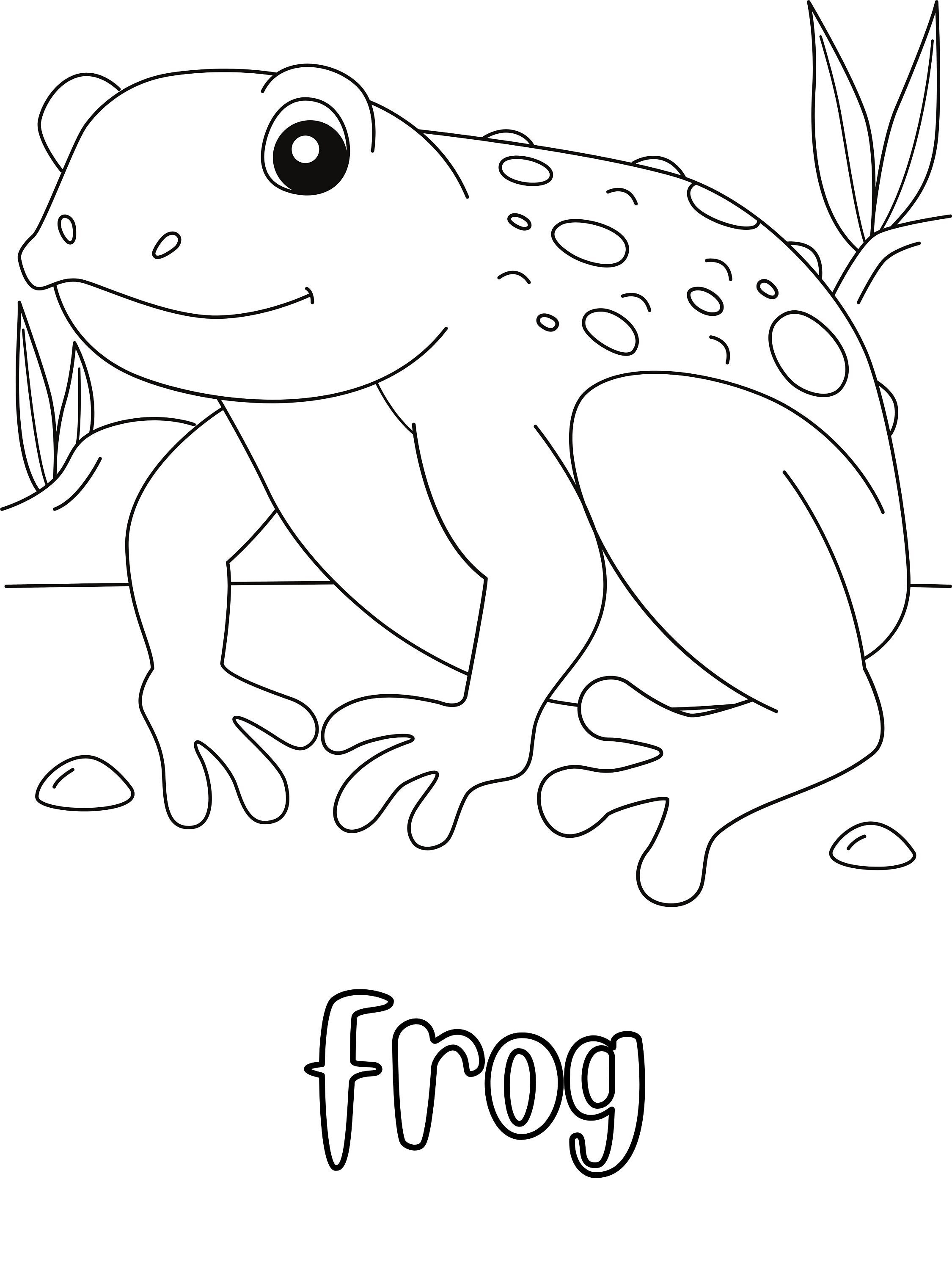 190+ Frog Coloring Page Designs 63