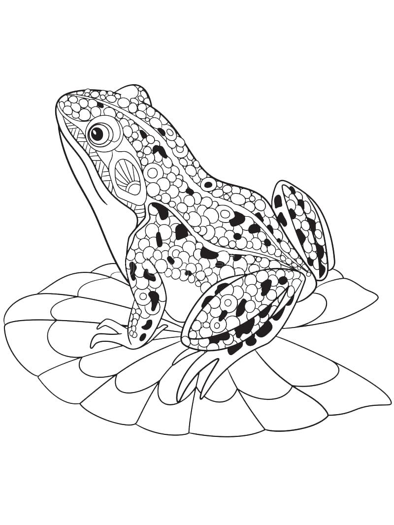 190+ Frog Coloring Page Designs 66