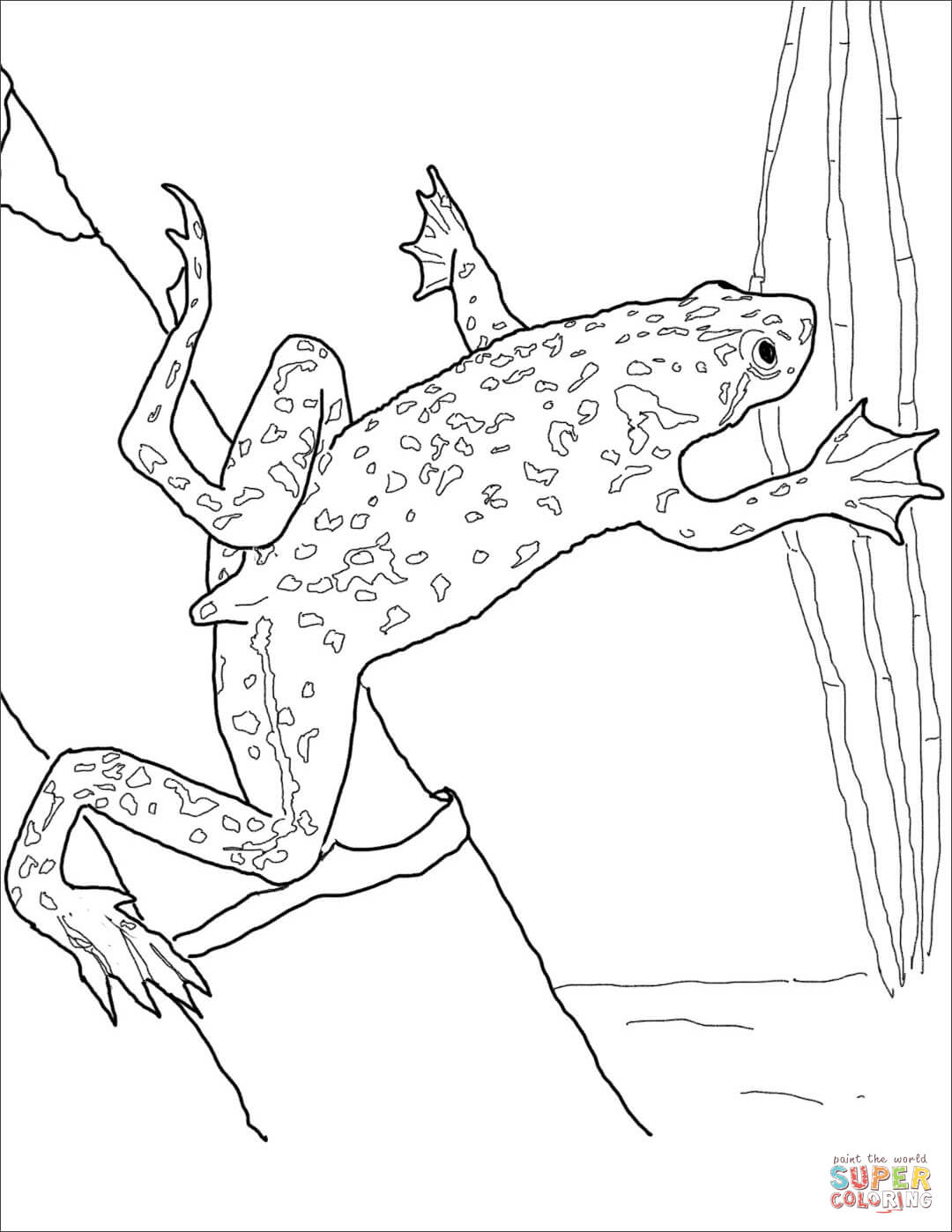 190+ Frog Coloring Page Designs 73