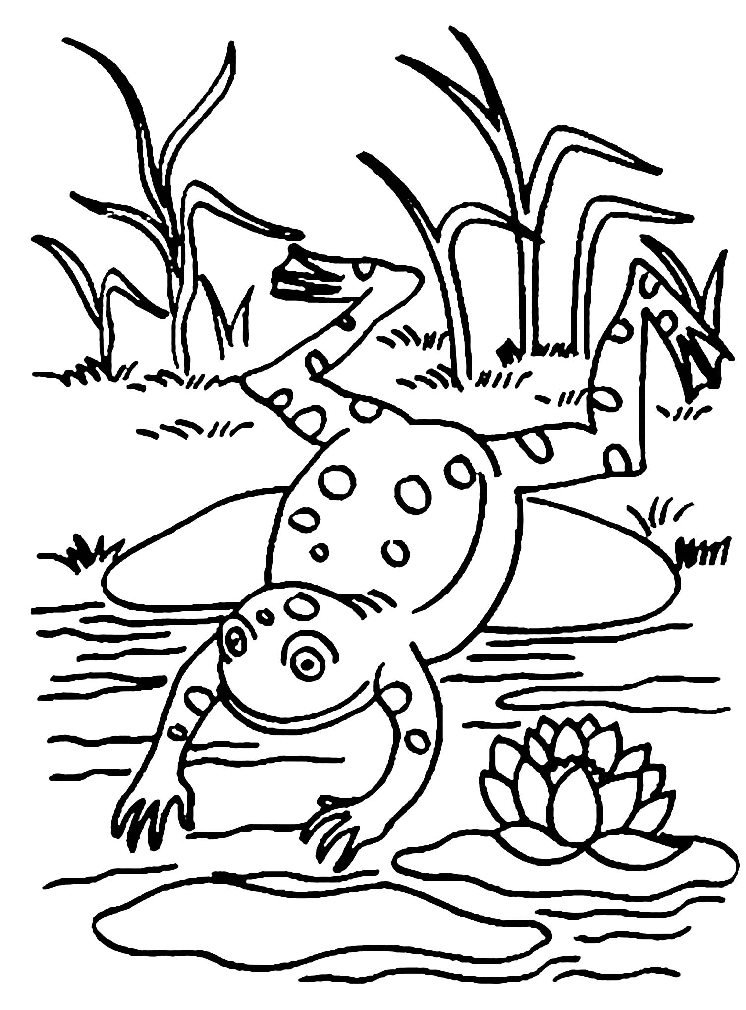 190+ Frog Coloring Page Designs 9