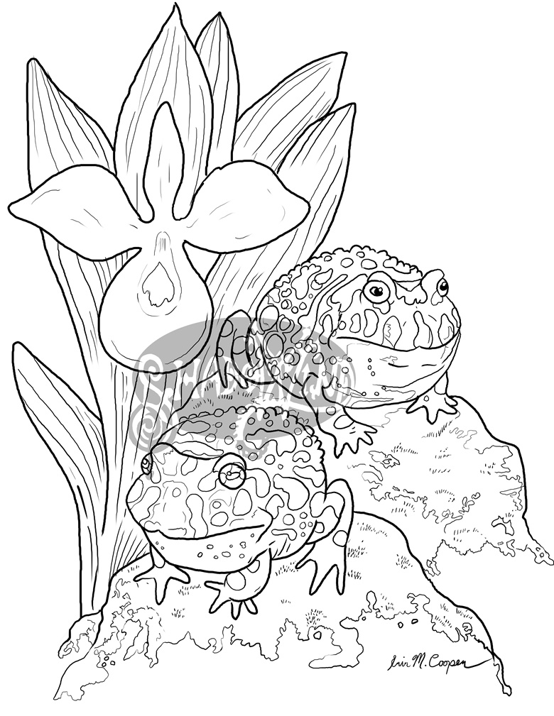 190+ Frog Coloring Page Designs 96