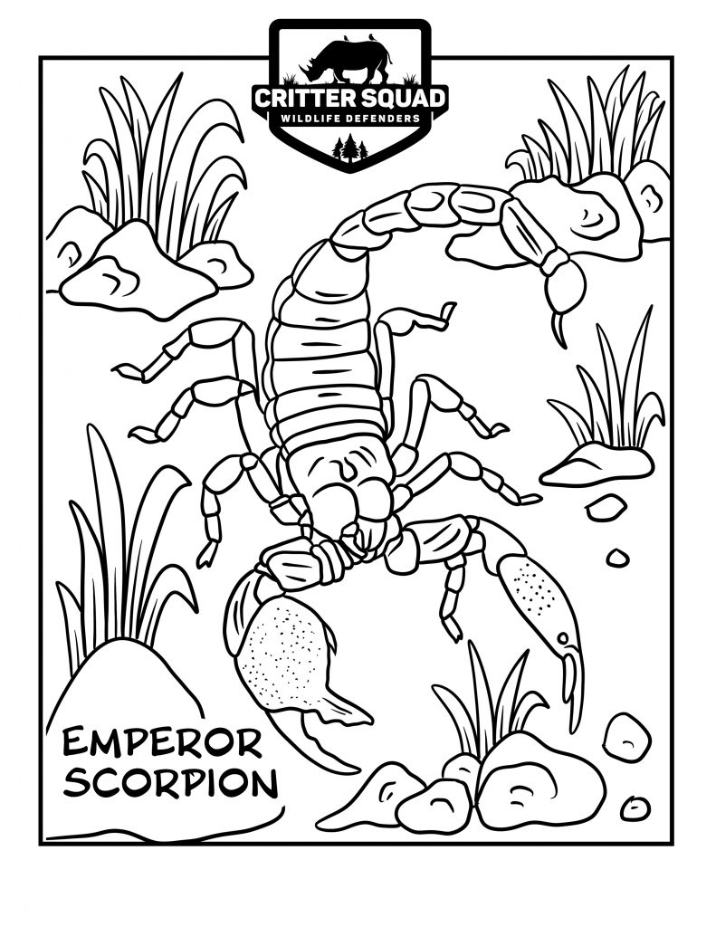 194 Venom Among Us Coloring Pages Printable 109