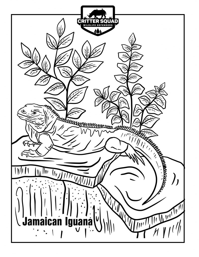 194 Venom Among Us Coloring Pages Printable 110