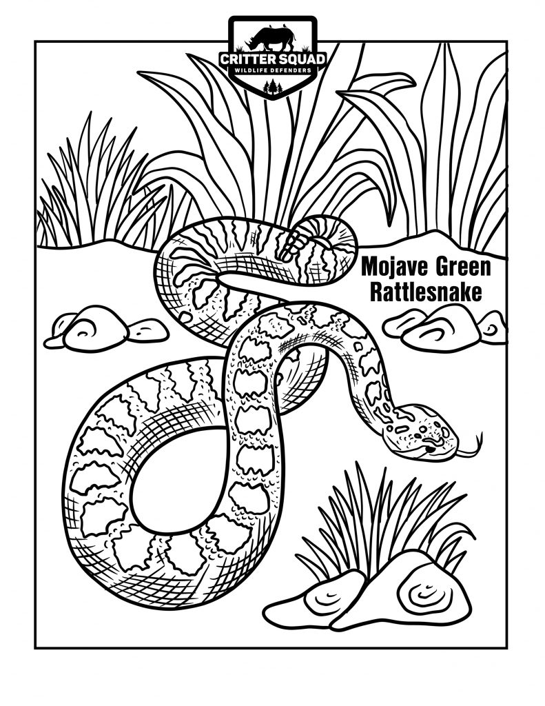 194 Venom Among Us Coloring Pages Printable 111